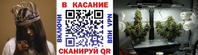 Что такое Никольское Alpha PVP  Марихуана  kraken   Гашиш  Меф мяу мяу  Амфетамин 