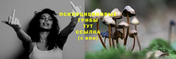 прущие грибы Нея